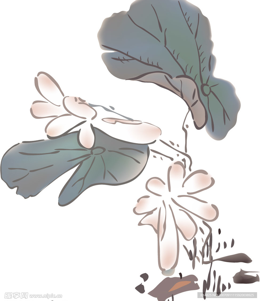水墨莲花