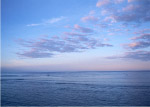 大海