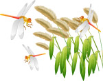 野草