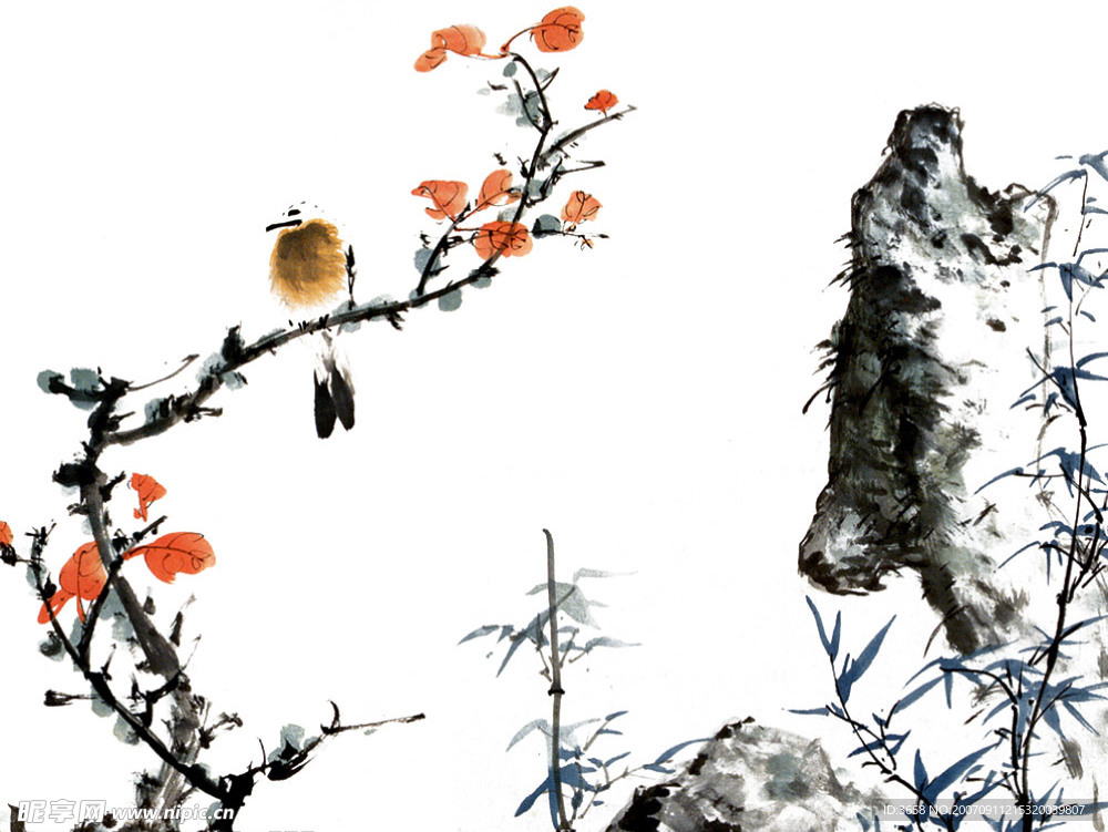 花鸟