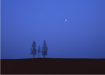 夜空