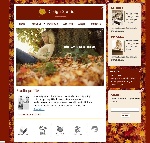 flash整站SWF文件01