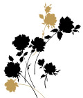 精美韩国花朵PSD