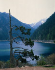 山中湖水