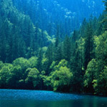 山中湖水