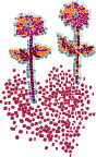 花2