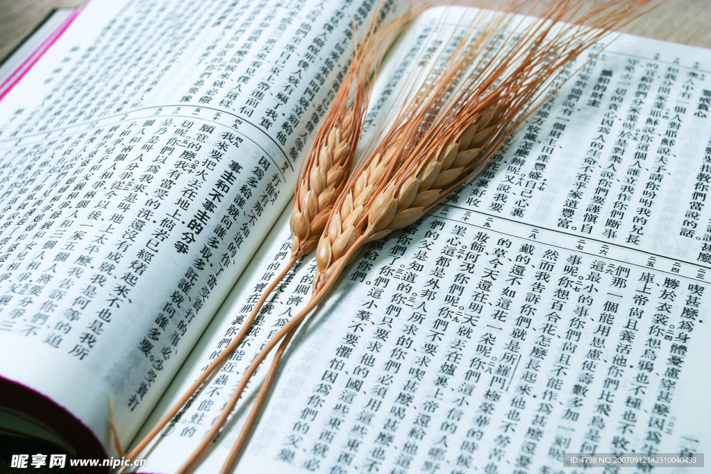 古典书籍