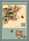 牡丹花
