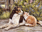 绘画猫