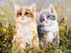 绘画猫