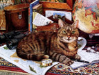 绘画猫