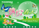 春之缤纷