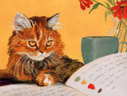 绘画猫