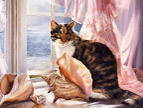 绘画猫