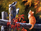 绘画猫