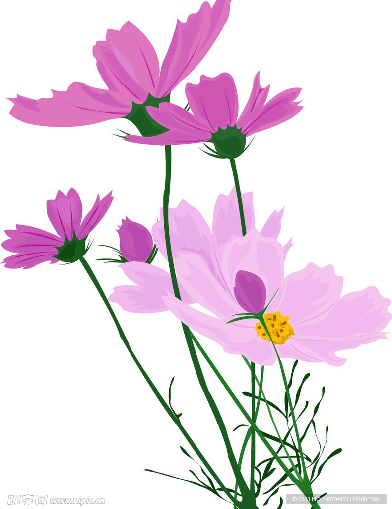 花卉