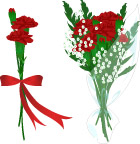 玫瑰花