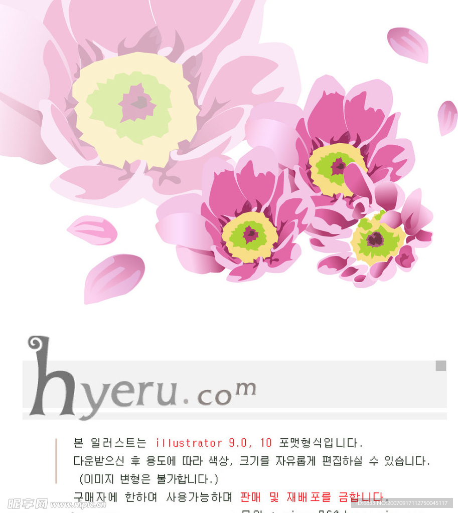 花朵