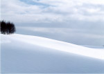 雪景