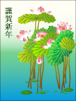 荷花