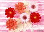 花02