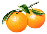 橙