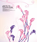 影骑花纹