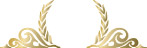 冠型底纹