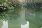 水面，城市园林