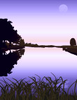 自然风景