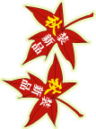 新品上市