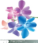 矢量花束