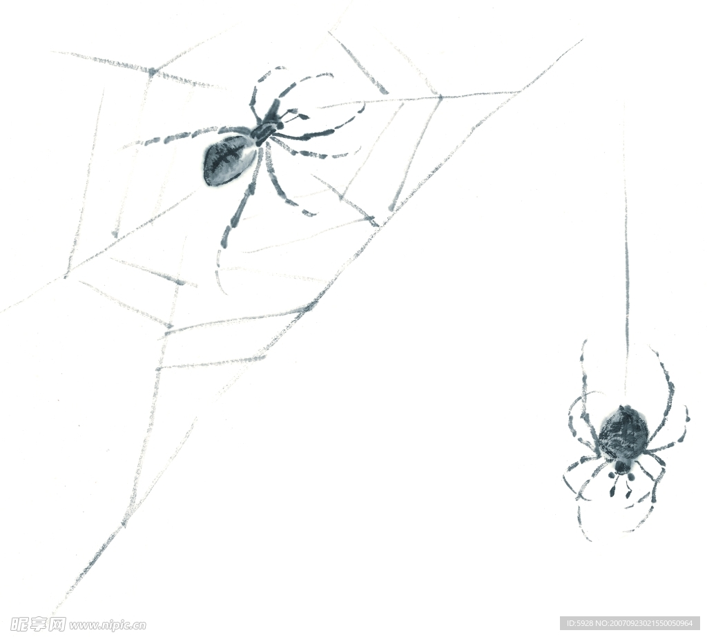【4K】蜘蛛网动画8款_视频素材包下载(编号:4324601)_影视包装_VJ师网 www.vjshi.com