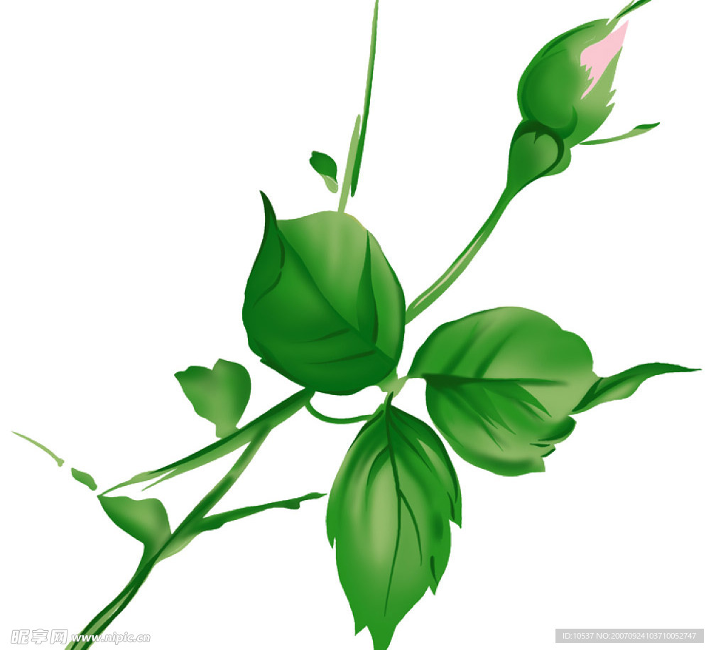 PSD花纹