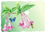 蝶恋花精品矢量图，ai格式3