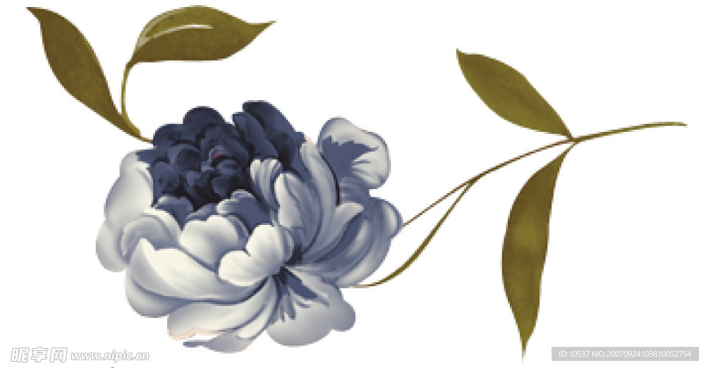 PSD花纹
