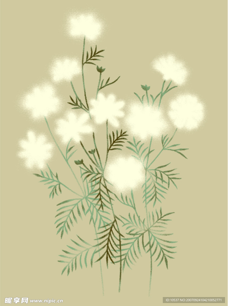 PSD花纹