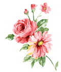 花矢量图