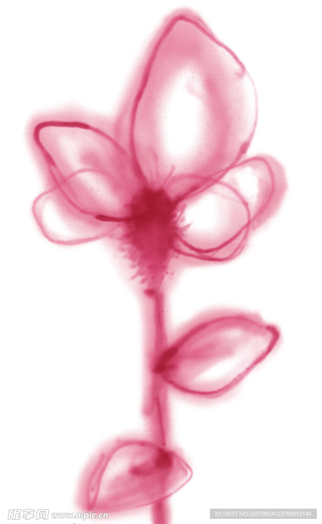 PSD花纹
