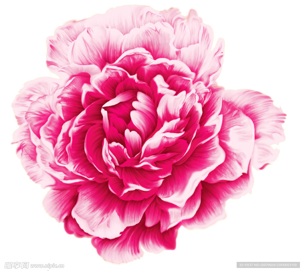 PSD花纹