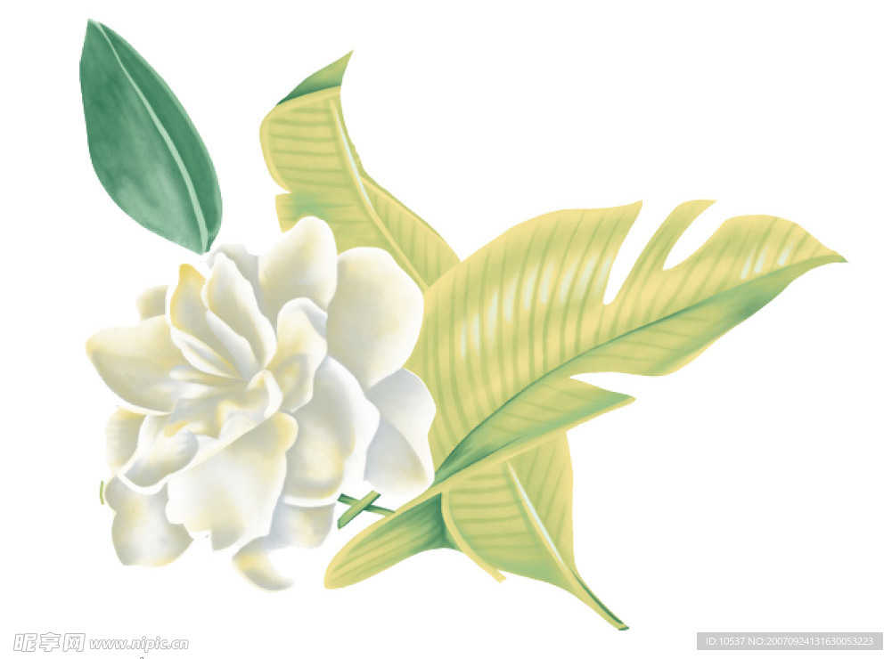 PSD花纹