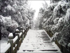 雪之柔美