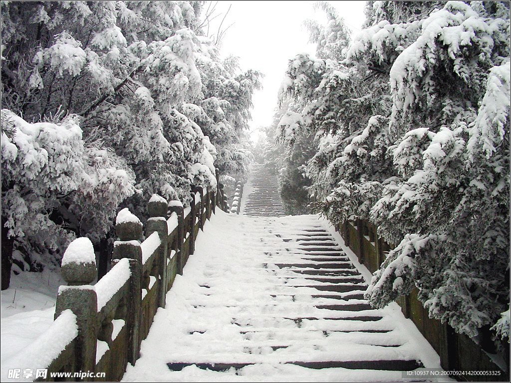 雪之柔美