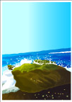 海