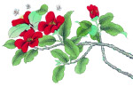 蜜蜂采蜜