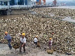 2006年中国环境污染治理投资达到历史最高