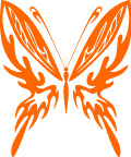 蝴蝶
