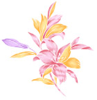 高清晰PSD花纹57