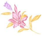 高清晰PSD花纹55