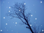 雪之柔美